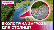 Забруднення Десни: чи зачепить екологічне лихо столицю?