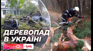 Аномальні пориви вітру і деревопад: наслідки негоди в Україні