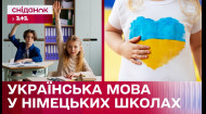 Украинский как ВТОРОЙ ИНОСТРАННЫЙ: нововведения в школах Германии