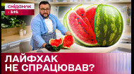 Руслан Сенічкін влаштував кавуновий бум! Перевірка кавуна на стиглість за лайфхаком з Тік-Току