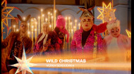 Wild Christmas — VERKA SERDUCHKA | Різдво. Ти не один 2023