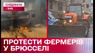 Підпалили шини та заблокували частину міста! Протест фермерів у Брюсселі – Міжнародний огляд