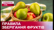 Як правильно зберігати груші, яблука і шипшину взимку? Поради від Дарії Дорошкевич