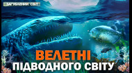 Секрети легендарного улову – Загублений світ. 11 сезон. 59 випуск