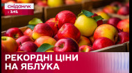 Ціни на яблука побили п'ятирічний рекорд! Чим зумовлене зростання цін в Україні? – Економічні новини