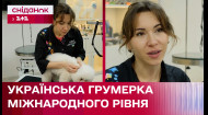 Отримала міжнародне визнання професійного грумера! Історія українки Анни Кравченко