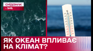Аномально теплый февраль! Как температура океана меняет климат в Украине?