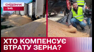 180 тонн зерна висипали польські фермери! Хто компенсує Україні збитки?