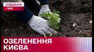 Висаджувати більше, ніж зрізати! Чому важливо озеленювати Київ в сьогоднішніх умовах?
