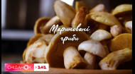 Мариновані гриби: універсальний рецепт від Дарії Дорошкевич