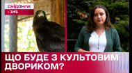 В Киеве хотят убрать легендарный дворик с воронами! Какие причины и кто инициатор?