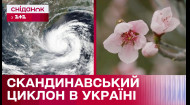 В Украину идет похолодание! Как повлияет Скандинавский циклон на активное цветение деревьев?