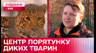Як одна людина врятувала безліч диких тварин: центру порятунку тварин та засновниця Наталія Попова