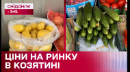 Обзор цен в Казатине: сколько стоят овощи на местном рынке?