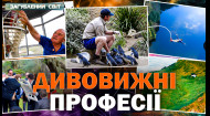 11 випуск