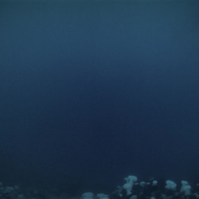 На пороховой бочке. Черное море может взорваться в любой момент