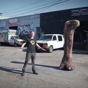 Самое огромное существо в истории Земли: открытие, потрясшее ученых