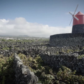 Де росте виноград для найвишуканішого винограду світу