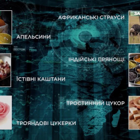 Секрети захмарної розкоші князів Острозьких