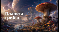 14 выпуск