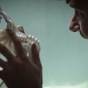 Экстравагантный дуэт изобретателей научил осьминога играть на фортепиано