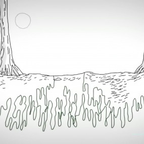 Деревья обладают материнским инстинктом, они жертвуют собой ради детей