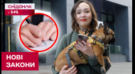 ТЕРМІНОВО! ОБОВ'ЯЗКОВА РЕЄСТРАЦІЯ ТВАРИН? Чи обов'язково? Що кажуть у ЦНАПі?