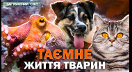 2 выпуск