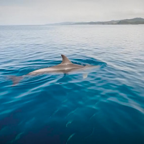Невероятное явление в Чёрном море: как дельфины зажигают звезды в воде