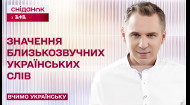 Серцевий, сердечний і сердешний: яка різниця між близькозвучними словами? – Вчимо українську