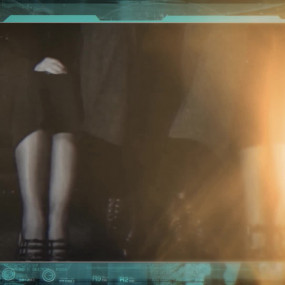 Эти гиганты — настоящие конкистадоры, и Чарльз Дарвин видел их собственными глазами