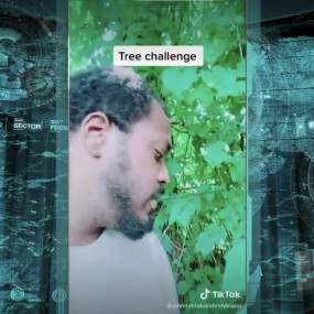 Люди разговаривают с деревьями странные методы из соцсетей