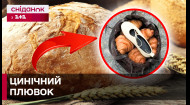 СКАНДАЛ В МЕРЕЖІ! Чому фото балеток на круасанах обурило українців?