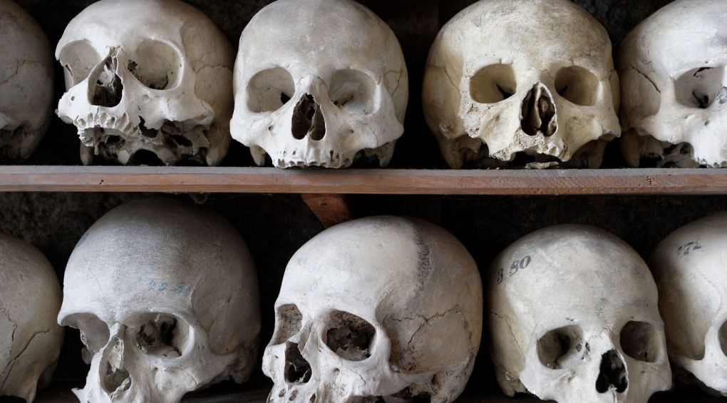 У Британії з церкви викрали колекцію людських черепів