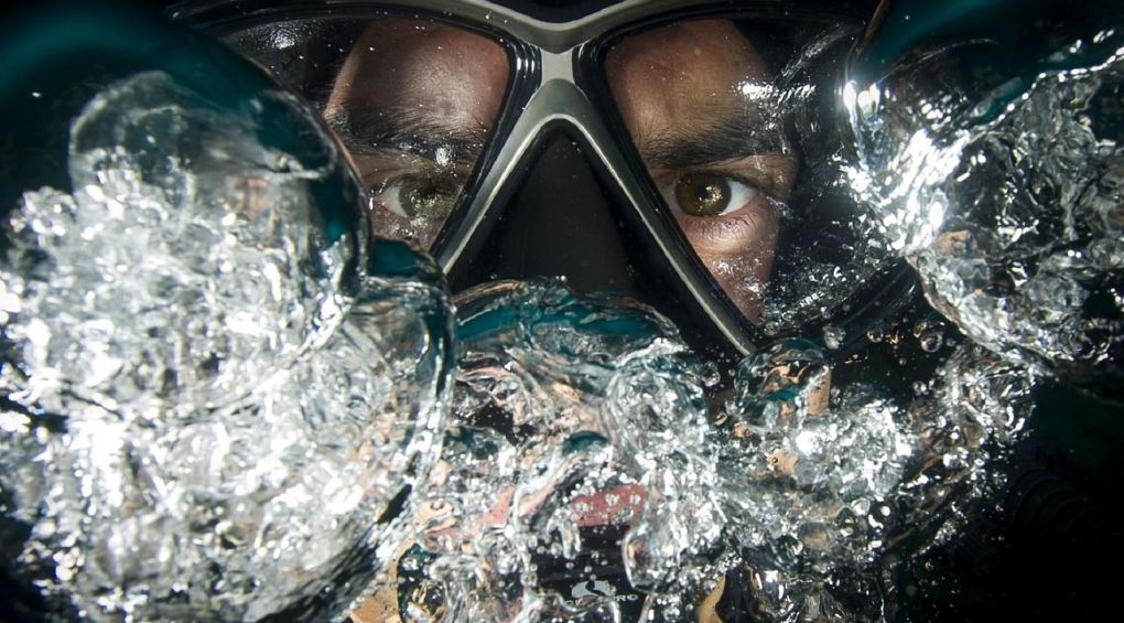 Тест: чи знаєте ви, що приховують морські глибини?