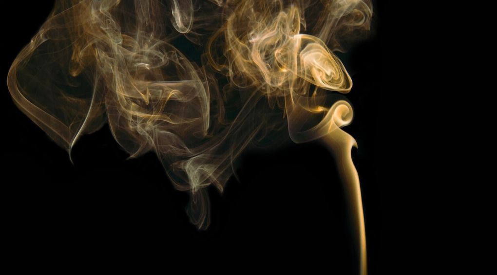 П’ять найнеприємніших запахів за версією журналу Neuroscience