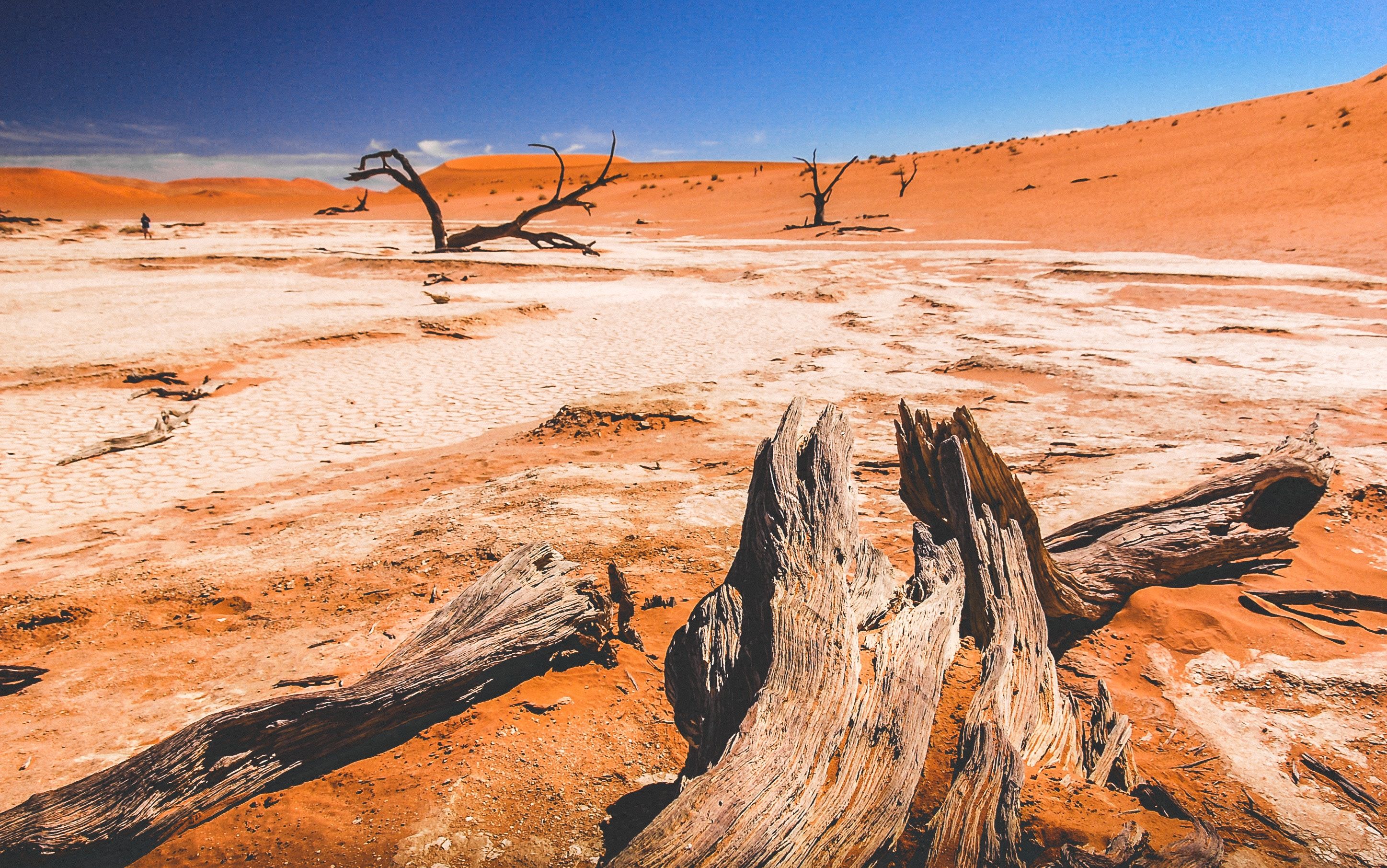 Самая сухая пустыня в африке. Намиб пустыни Африки. Пустыня Намиб, Африка, Намибия. Пустыня Намиб берег скелетов. Край пустыни Намиб.