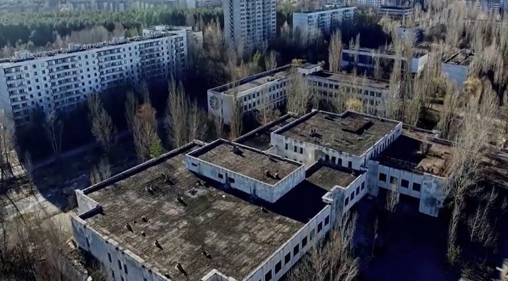 Кто поселился на территории Чернобыльской зоны отчуждения?