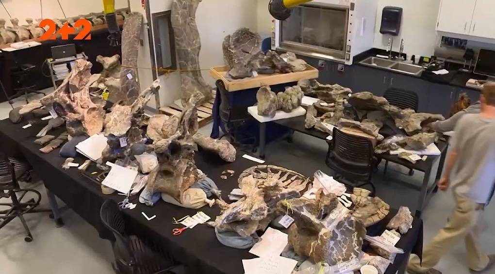Гигантские человеческие скелеты и останки динозавров: шокирующие находки палеонтологов