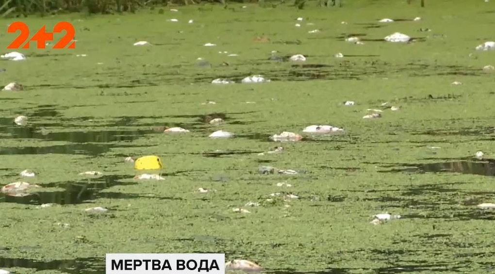 Экологическая катастрофа в Житомире: нечистоты всего города текут в реку Тетерев