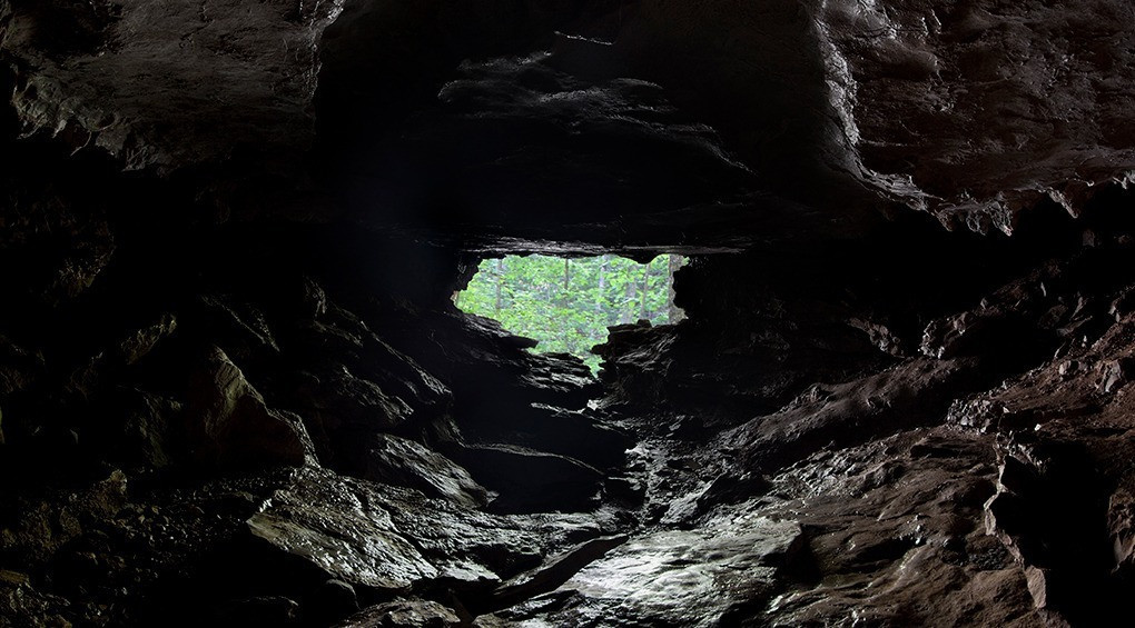 У печері Франції знайшли справжнього гнома: маленька істота засинає під колискову (ВІДЕО)