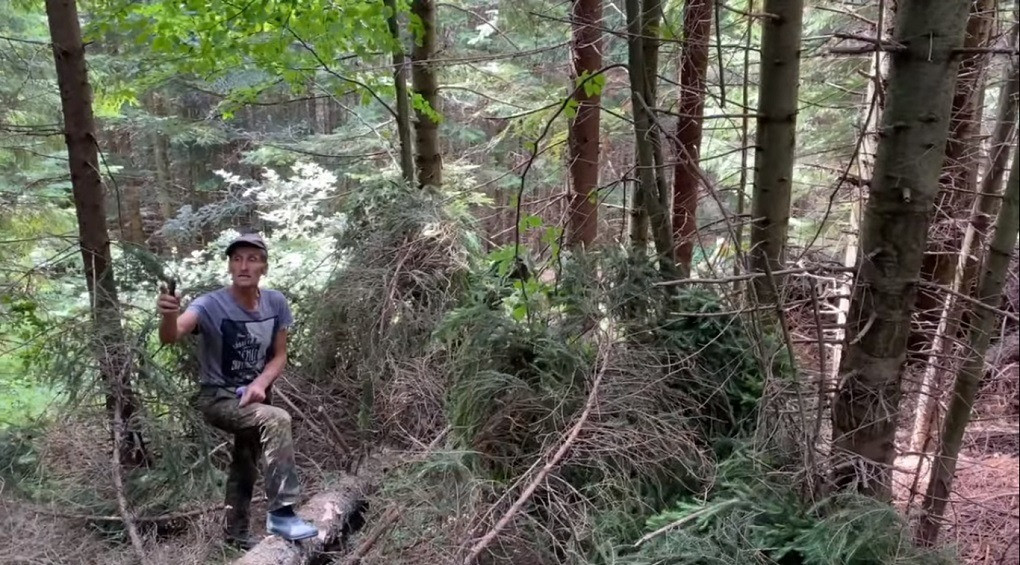 Екс-нардеп спіймав карпатських «чорних лісорубів» на місці злочину (ВІДЕО)