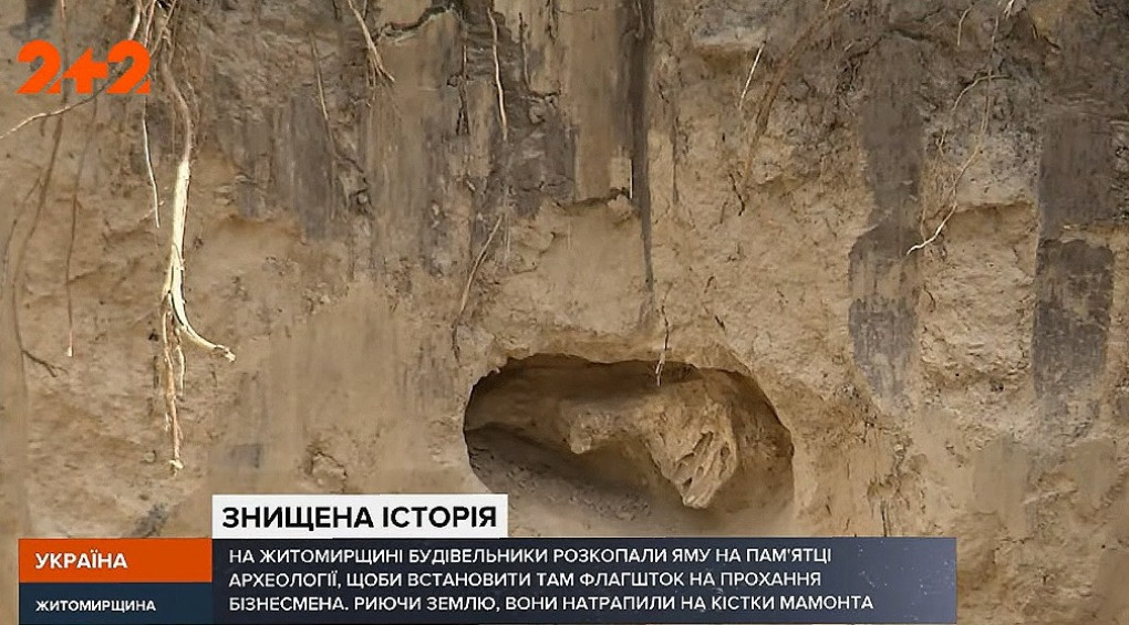 Знищували історію древлян: у Коростені викопали котлован і знайшли кістки мамонта