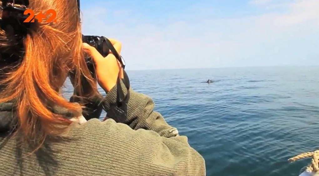 Монстр у Чорному морі: жінка зняла морську потвору, що тримала у пащі дельфіна