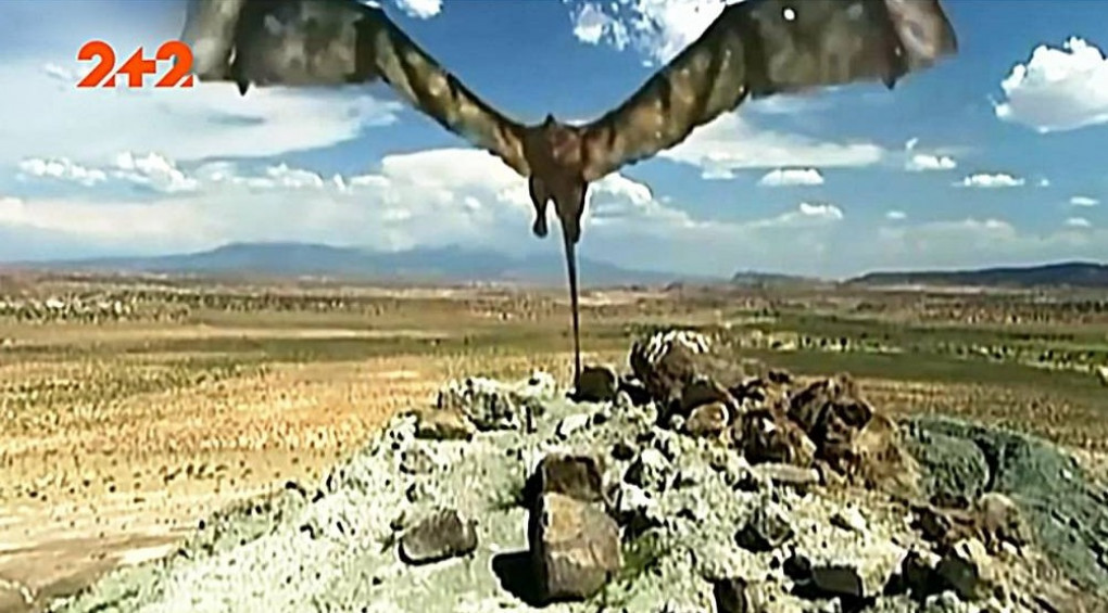 Голова ящура, чотири лапи та крила кажана: у Мексиці спіймали моторошну істоту (ВІДЕО)