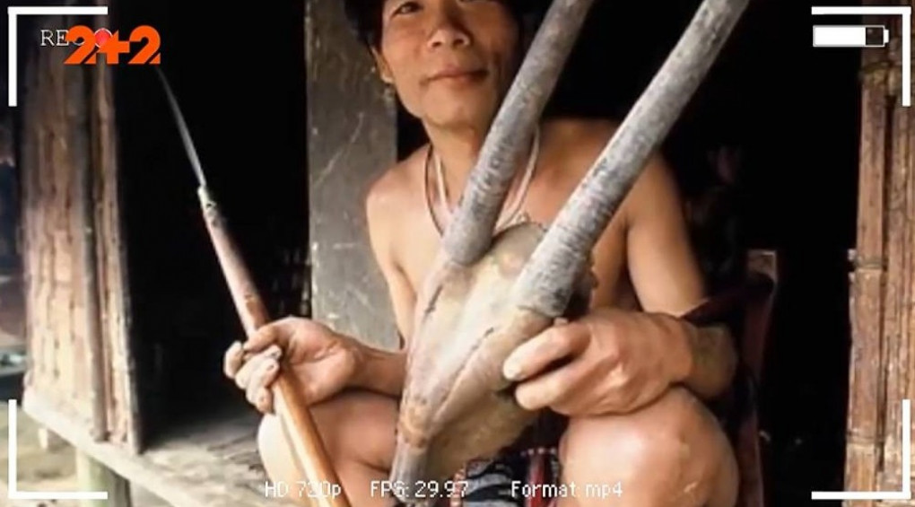 Азиатский единорог: в лесах Лаоса живет сказочное существо?