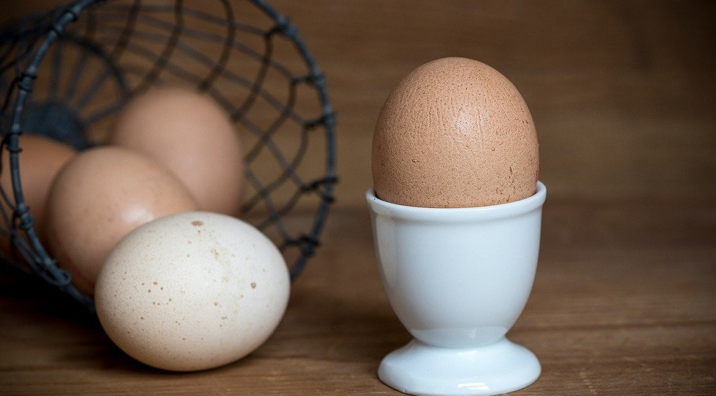 Искусственные яйца и капуста: как китайцы из пластика создают пищу (ВИДЕО)