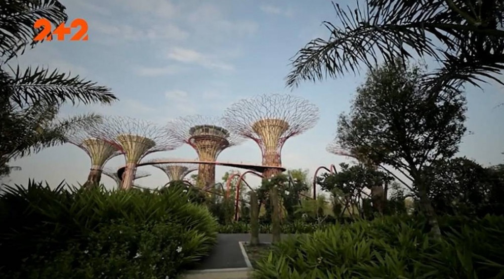 Сад майбутнього: рослини з усієї планети, квітковий купол і хмарний ліс