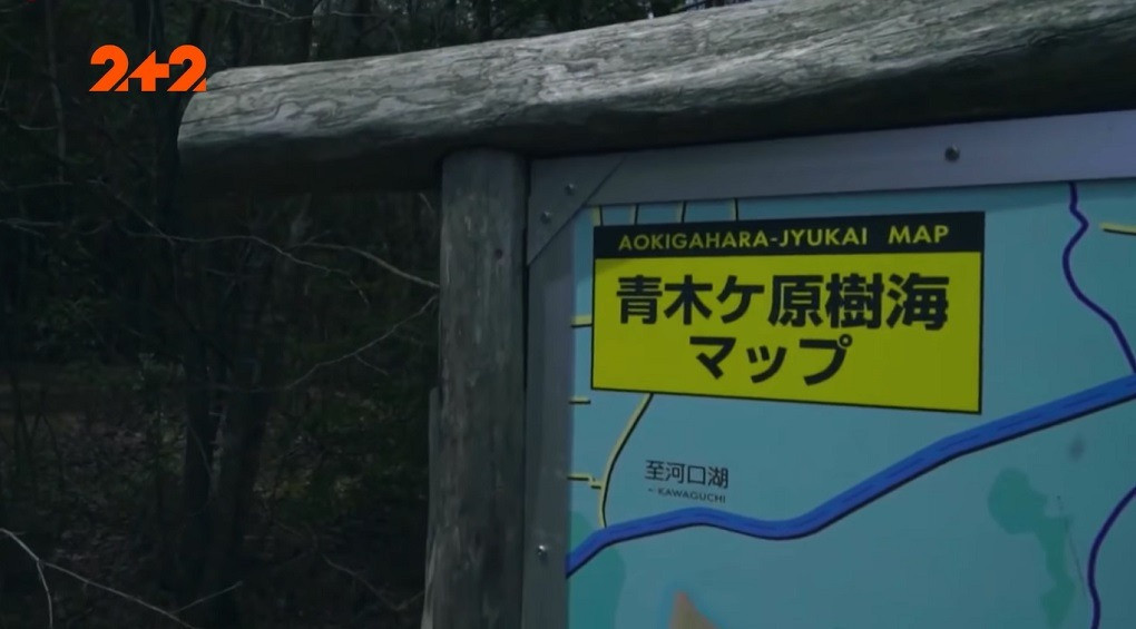 Призраки следят за людьми: почему в лесу близ Токио произошел туристический бум