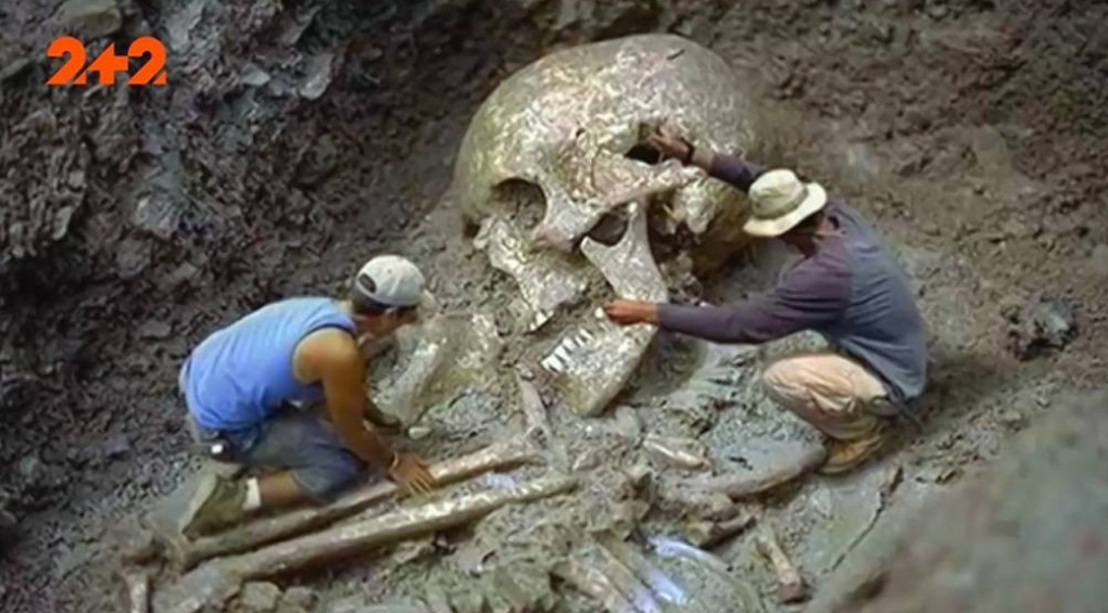 На Земле жили великаны: в Австралии нашли гигантский человеческий зуб